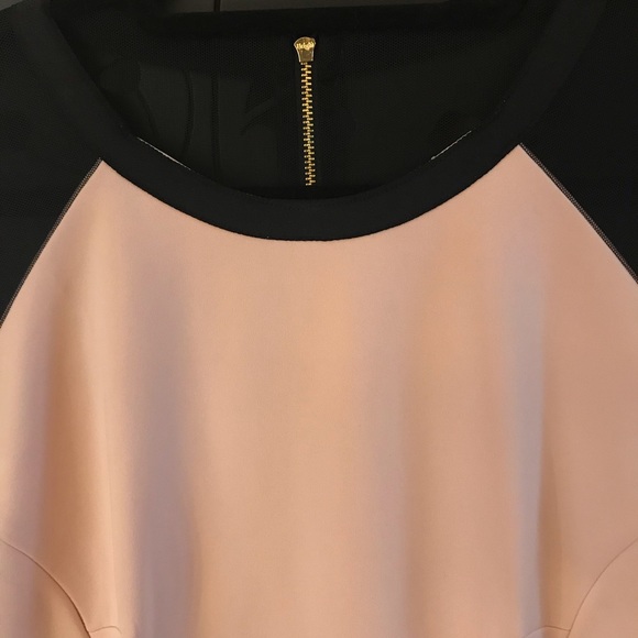 ❤️ Host Pick! Blush & black sheath dress with mesh - Picture 3 of 6